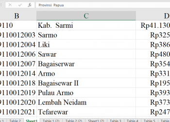 Dana Desa Sarmi 2026 Tembus Rp41 Miliar