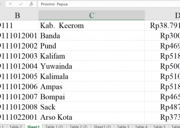 Dana Desa Keerom 2026 Tembus Rp38,7 Miliar