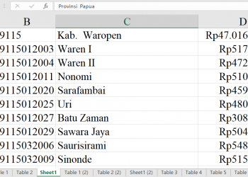 Dana Desa Waropen 2026 Capai Rp47 Miliar