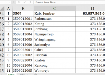 Dana Desa Jember 2026 Rp83,8 Miliar, Ini Rinciannya