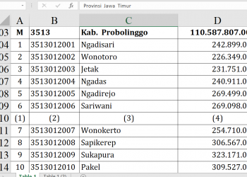 Dana Desa Probolinggo 2026 Tembus Rp110,5 Miliar