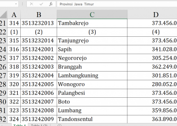 Dana Desa Probolinggo 2026 Rp110,5 Miliar, Ini Daftarnya