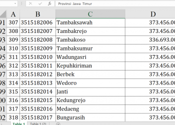 Dana Desa Sidoarjo 2026 Rp110,6 Miliar, Cek Desamu