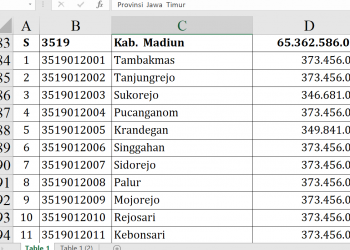 Dana Desa Madiun 2026 Capai Rp65,3 Miliar, Ini Rinciannya