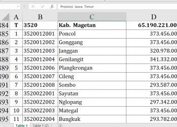 Dana Desa Magetan 2026 Rp65,19 Miliar, Ini Rinciannya