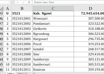 Dana Desa Ngawi 2026 Tembus Rp72,9 Miliar, Cek Desamu