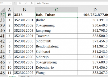 Dana Desa Tuban 2026 Capai Rp106,7 Miliar, Ini Rinciannya