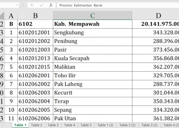 Dana Desa Mempawah 2026: Banyak Desa Dapat Rp373 Juta