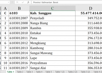 Dana Desa Sanggau 2026: Banyak Desa Dapat Rp373 Juta