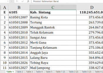 Dana Desa Sintang 2026 Tembus Rp118,2 Miliar