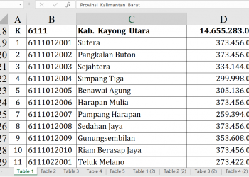 Dana Desa Kayong Utara 2026 Capai Rp14,6 Miliar, Ini Rinciannya