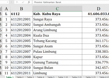 Dana Desa Kubu Raya 2026 Tembus Rp41,6 Miliar, Cek Desa Anda