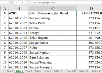 Dana Desa Kotawaringin Barat 2026 Rp24,8 Miliar, Cek Rinciannya