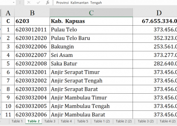 Dana Desa Kapuas 2026 Rp67,6 Miliar, Desa Ini Tertinggi