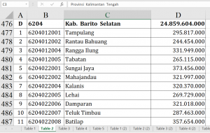 Dana Desa Barito Selatan 2026 Rp24,8 Miliar, Ini Daftarnya