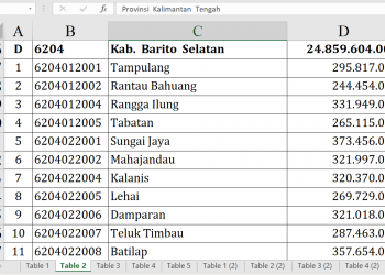 Dana Desa Barito Selatan 2026 Rp24,8 Miliar, Ini Daftarnya