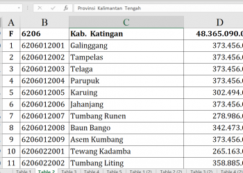 Dana Desa Katingan 2026 Tembus Rp48 Miliar, Ini Rinciannya
