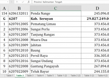 Dana Desa Seruyan 2026 Capai Rp29,8 Miliar, Cek Desamu