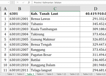 Dana Desa Tanah Laut 2026 Tembus Rp40,4 Miliar
