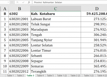 Dana Desa Kotabaru 2026 Tembus Rp59,4 Miliar