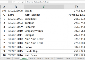 Dana Desa Banjar 2026 Capai Rp79,6 Miliar