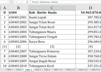 Dana Desa Barito Kuala 2026 Tembus Rp54,9 Miliar