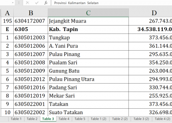 Dana Desa Tapin 2026 Capai Rp34,5 Miliar, Ini Rinciannya