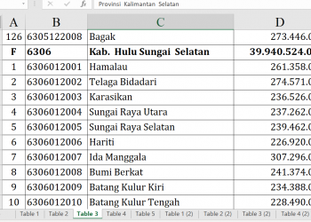 Dana Desa Hulu Sungai Selatan 2026 Capai Rp39,9 Miliar