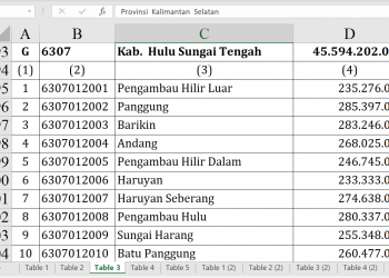 Dana Desa Hulu Sungai Tengah 2026 Tembus Rp45,5 Miliar