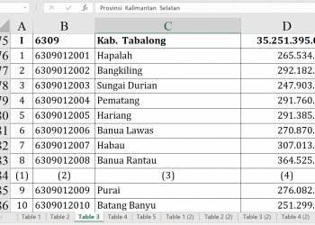 Dana Desa 2026 Tabalong Tembus Rp35,2 M, Ini Rinciannya