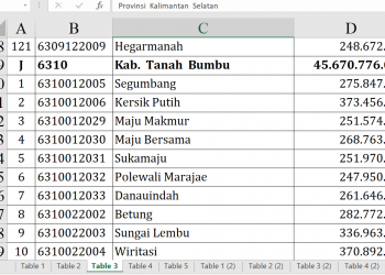 Dana Desa 2026 Tanah Bumbu Rp45,6 Miliar, Cek Desa Anda